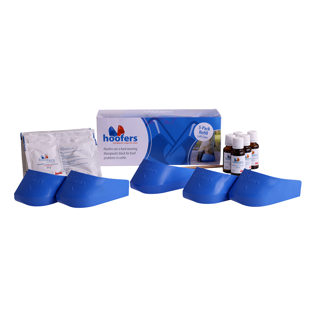 Hoofers Left Blue