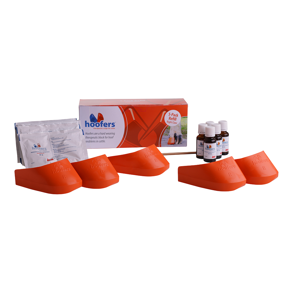 Hoofers Right Orange