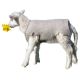 Lamb Jacket Recycled Wool Felt 100pk