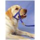 Dog Head Collar Halti size 1