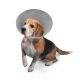 Elizabethan Collar Threaded Buster 20cm