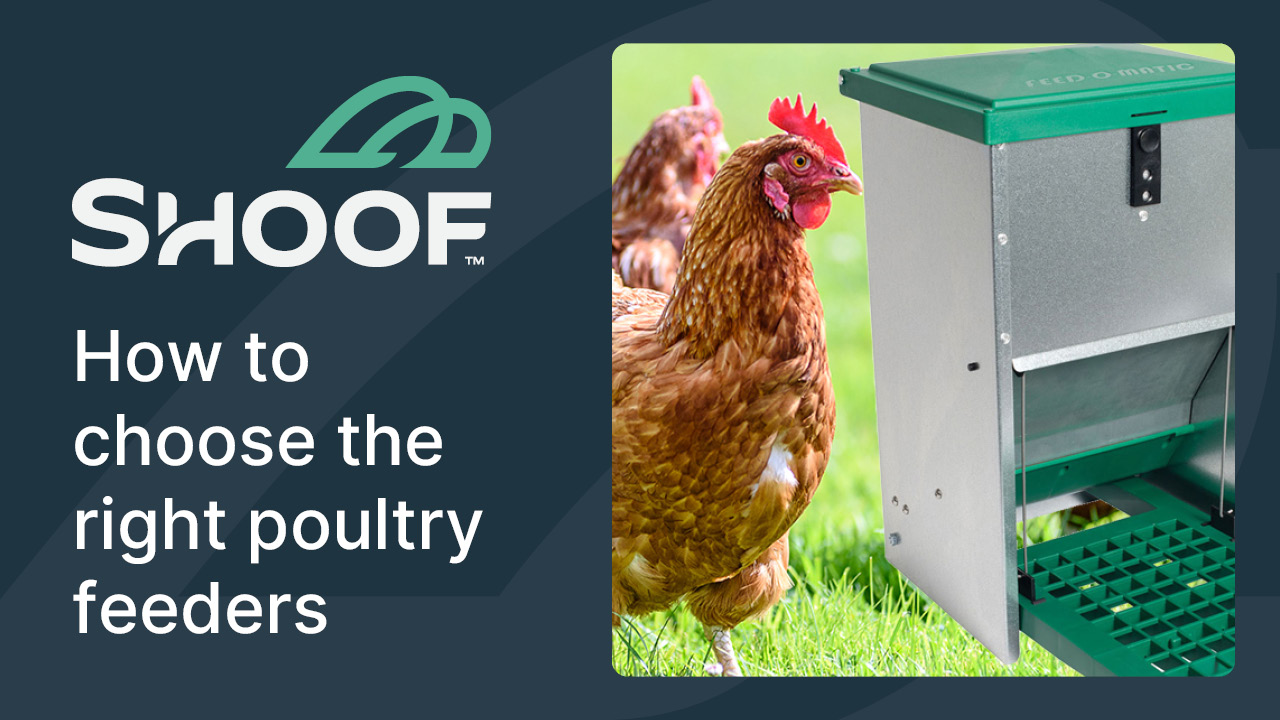 Poultry Feeders